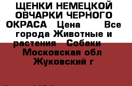 ЩЕНКИ НЕМЕЦКОЙ ОВЧАРКИ ЧЕРНОГО ОКРАСА › Цена ­ 1 - Все города Животные и растения » Собаки   . Московская обл.,Жуковский г.